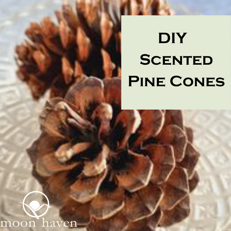 DIY- Scented Pine Cones