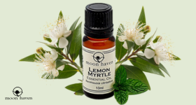 Essential Oil Monograph – Lemon Myrtle Oil