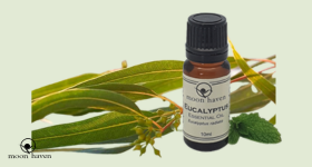 Eucalyptus Australiana Essential Oil – Uses, Recipes & More