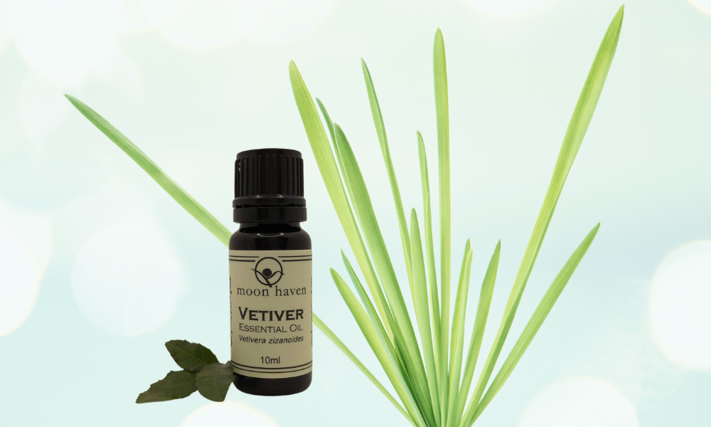 Vetiver essential oil guide