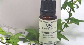 Oil of the Month - Frankincense