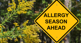 Moon Haven guide to hay fever and allergies