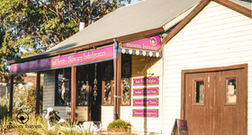 The Moon Haven Story