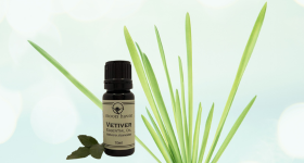 Vetiver - the Oil of Tranquility