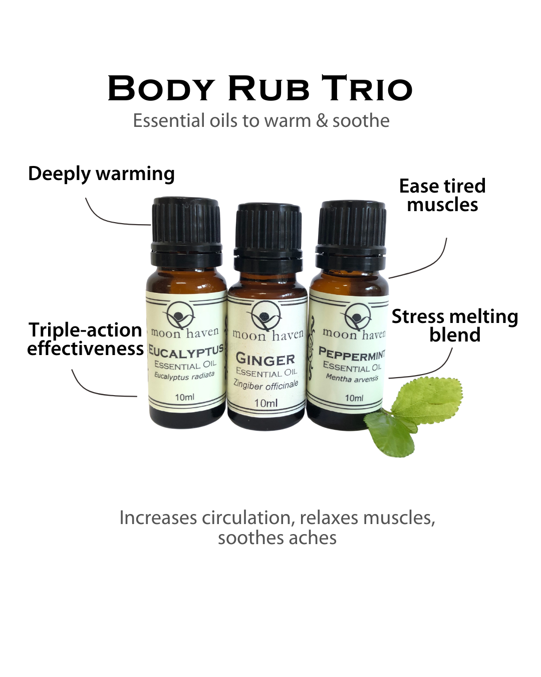 BODY RUB ESSENTIAL OIL TRIO