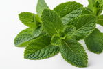 mint leaves
