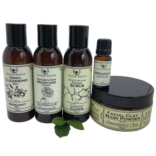 Acne Action Pack with Bonus Facial Clay Mask